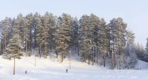 Lahti in winter