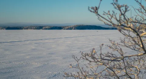 Talvimaisema Saimaalta