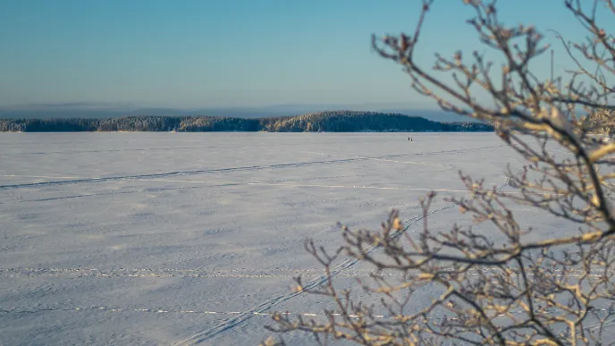 Talvimaisema Saimaalta