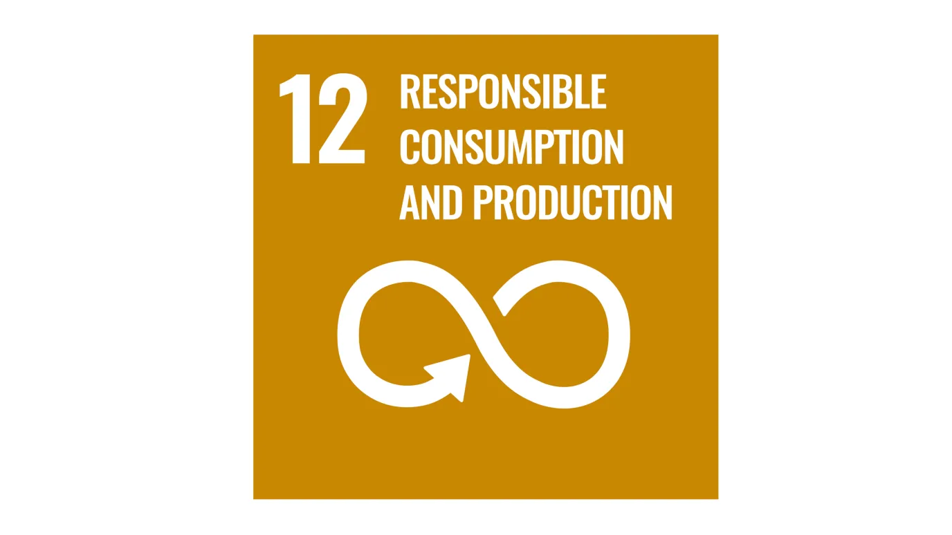 SDG12 landscape