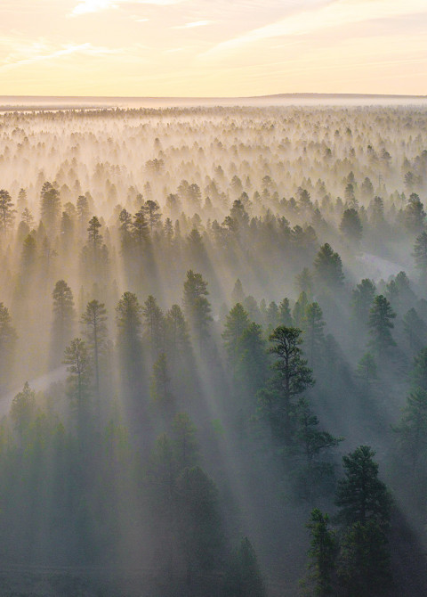 LUT-yliopiston viisi puhtaan ilman ratkaisua: ilmakuvassa metsää ja horisontissa auringon nousu.